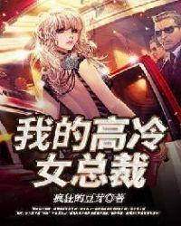 我的高冷总裁老婆改编