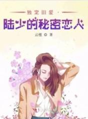 独宠旧爱陆少的秘密恋人番外篇