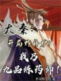 大秦开局献上六品丹药