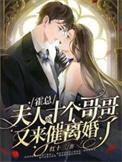 夫人又闯祸