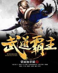 武道霸主动漫免费观看