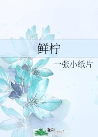 鲜柠檬怎么制作成干柠檬片