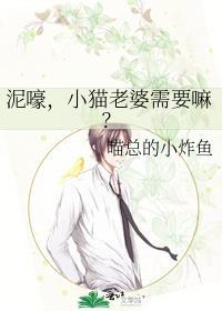 猫咪老婆表情包