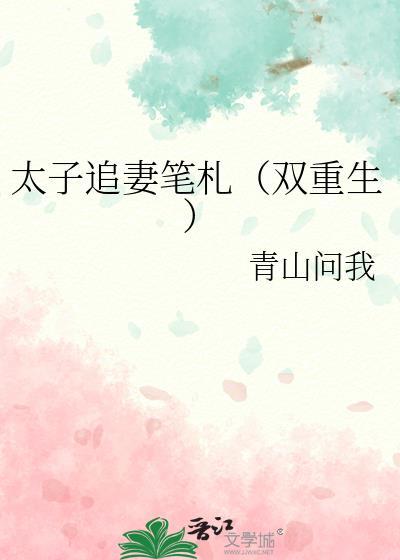 太子追妻实录(重生)