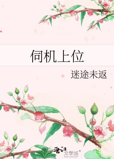 伺服电机位数