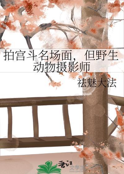 野生动物摄影师的工作是什么