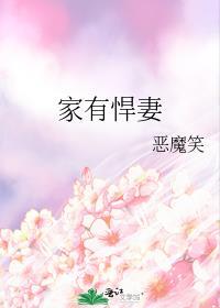 家有悍妻怎么破