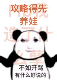 攻略指的是什么意思