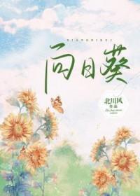 向日葵破解假期安卓运维困局