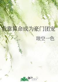 穿成哥儿了怎么办作者杼渊著