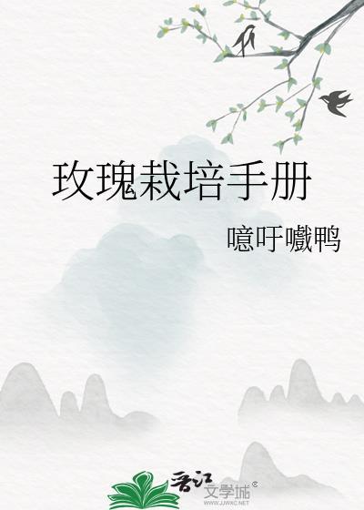 玫瑰花栽培技术要点