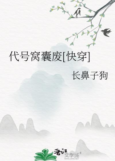 代号txt