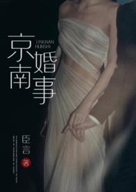 京南婚事(1v1 婚恋) / 作者臣言