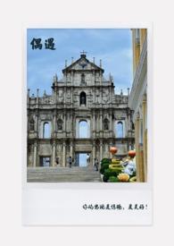 偶遇是什么意思解释一下