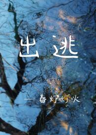 出逃简介