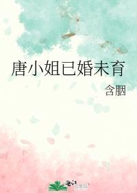 唐小姐已婚未育含胭钱塘 笔趣阁