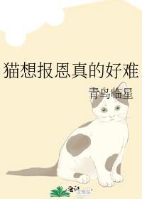 娱乐圈失忆甜文