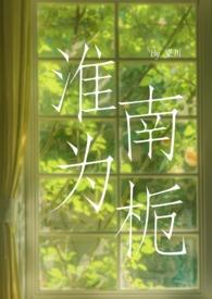 南栀淮南全文免费阅读