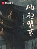 风起明末顶点
