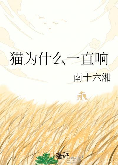 猫为什么一直响免费阅读