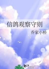 信鸽观察守则 乔家小桥