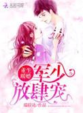重生暖婚军少放肆宠薄夜