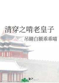 清穿之啃老皇子晋江
