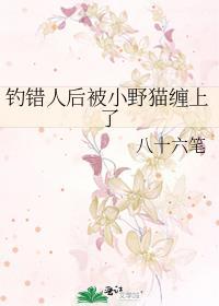 乖媳妇是啥