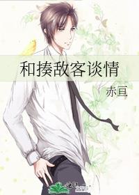 揍敌客谈情不说爱