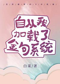 自从我加载了金句系统红甘泉网