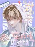 和死对头结婚后完整版