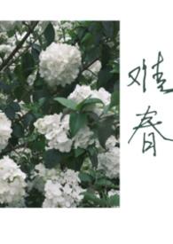 难兄难弟阅读答案