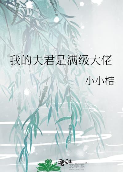 我的夫君是大佬
