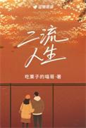 二流人生讲的什么故事