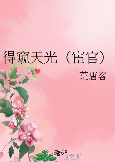 窥得天光地球上线