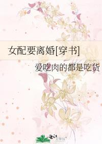 女配要求离婚的日常