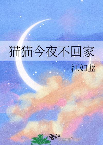 猫猫今夜不回家了怎么办