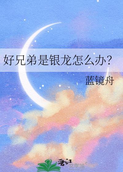 好兄弟是银龙全文免费阅读