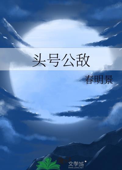 头号公敌解说