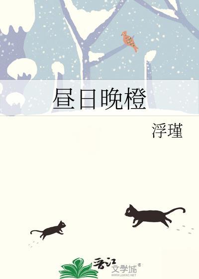 昼日晚橙TXT