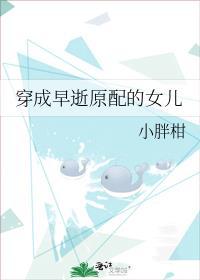 白塔今夜有灯免费阅读