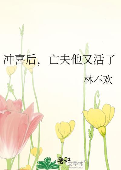 亡夫他又活了 作者林不欢