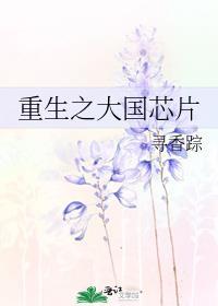 重生之大国芯片免费阅读