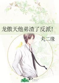 龙傲天他弟渣了反派_丸二缘