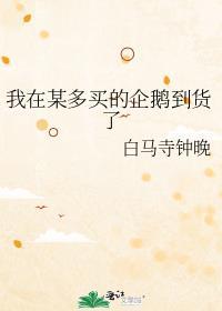 哪里能买到企鹅
