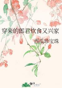 穿来的郎君炊食又兴家第几章