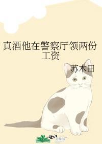 警察的工资都是发两个卡么