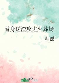 完美婚配大结局是什么