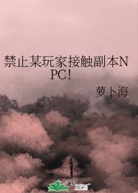禁止某玩家接触副本NPC! 萝卜海