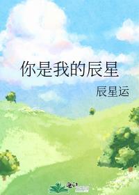 你是我的星辰知乎乐城